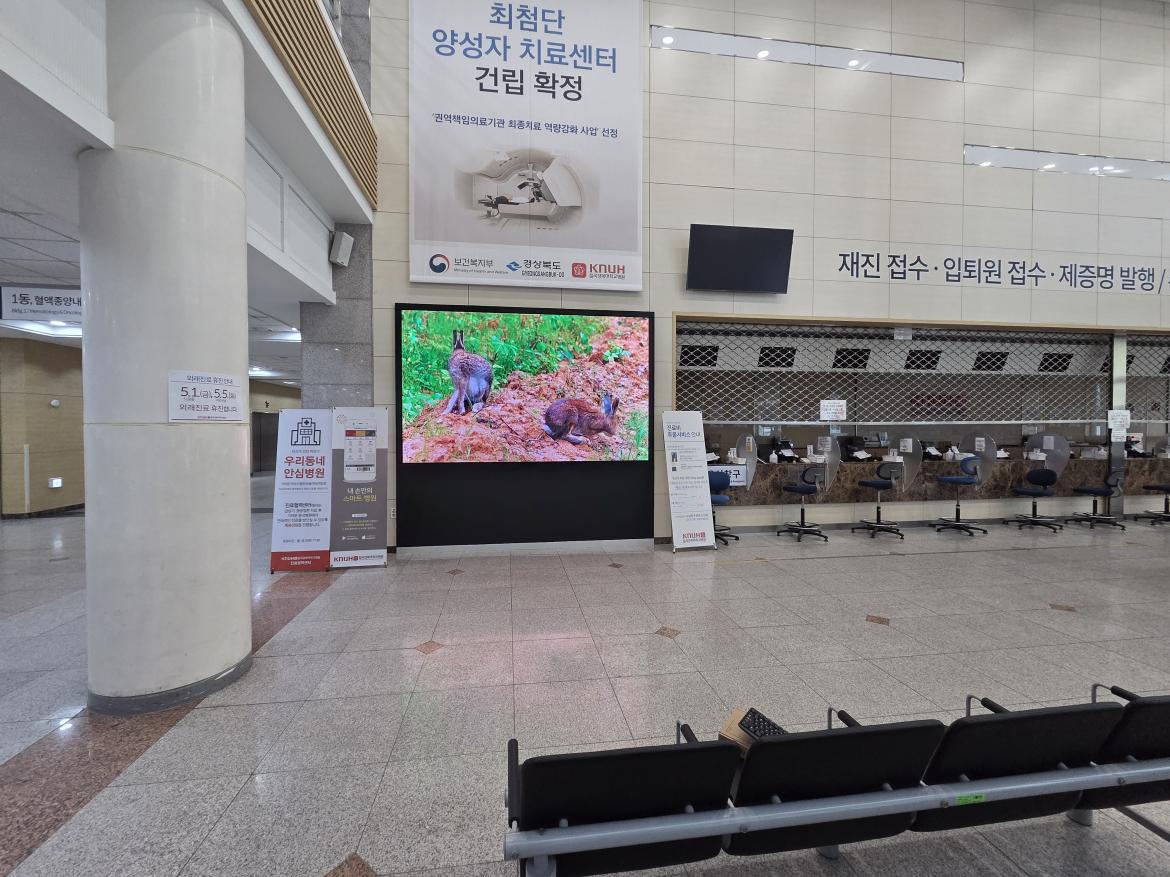 KakaoTalk_20260503_143331473.jpg